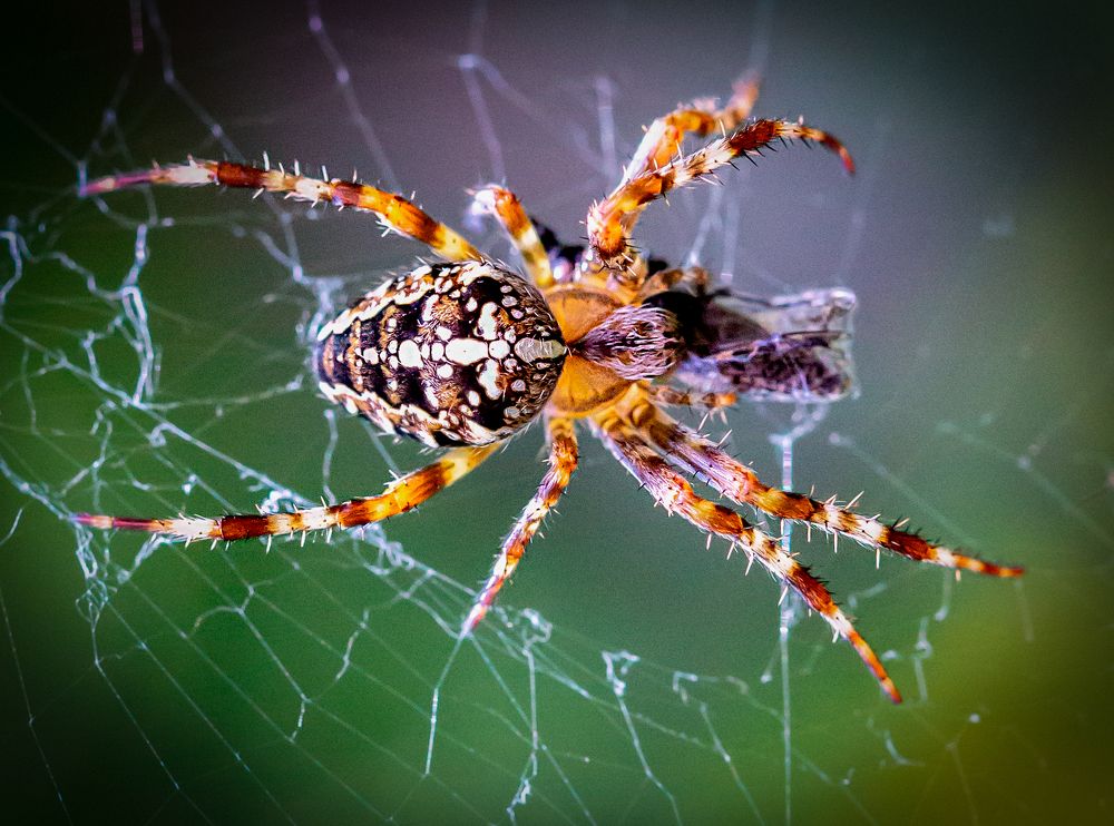 Фотография автора Людмила Прокофьева