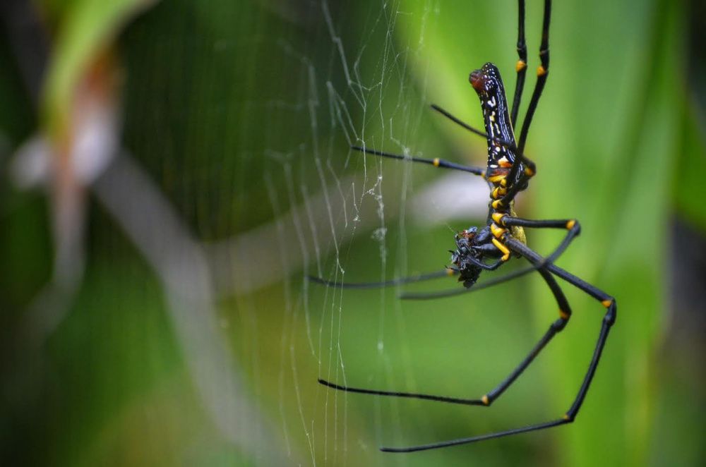 Photograph by Cheung Ka Wai