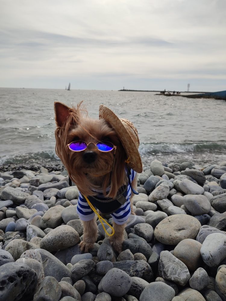 Photograph by Лолита Богачева