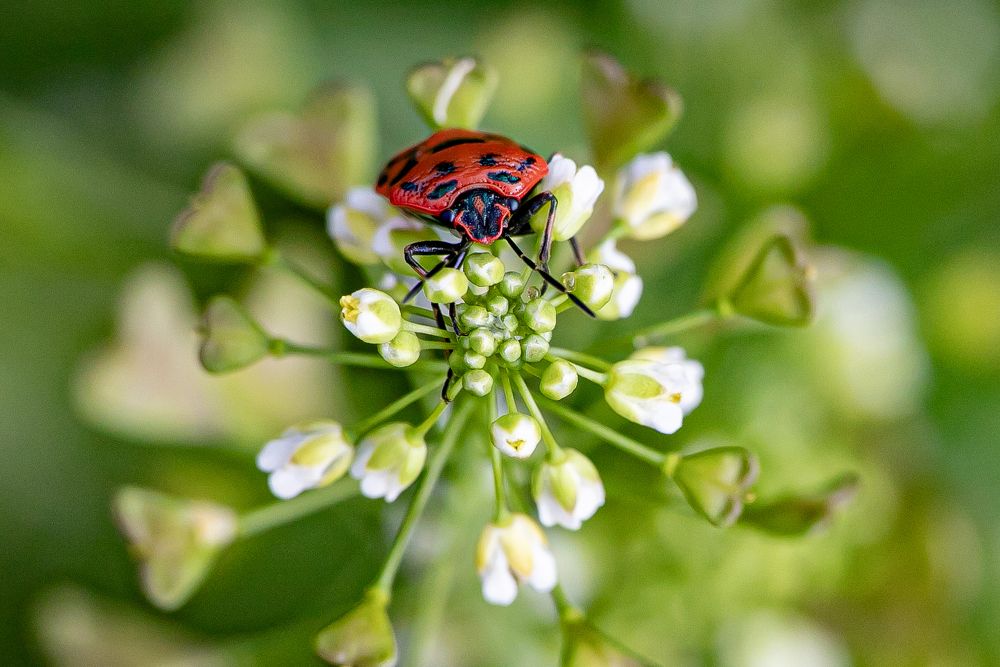 Photograph by Сергей Пак