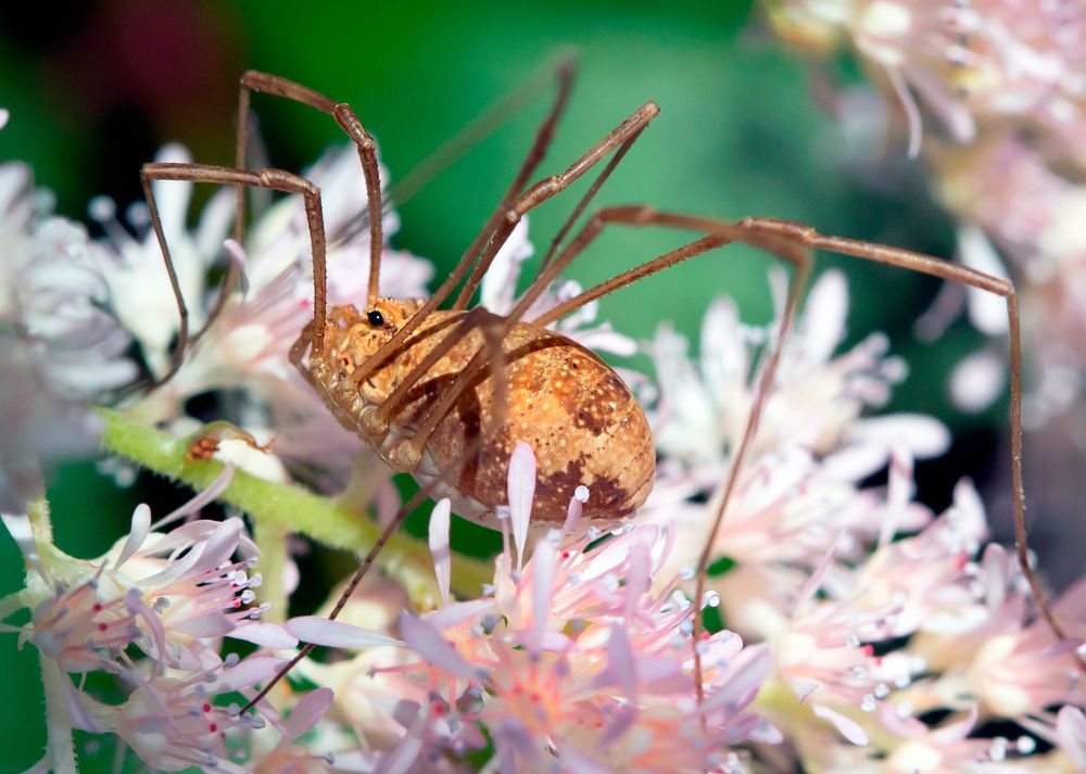 Фотография автора Людмила Прокофьева
