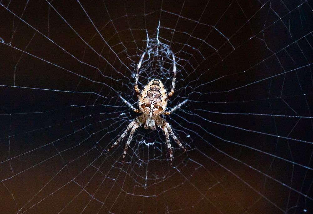 Фотография автора Людмила Прокофьева