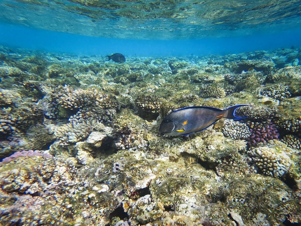 Photograph by Анвар Сейфуллин