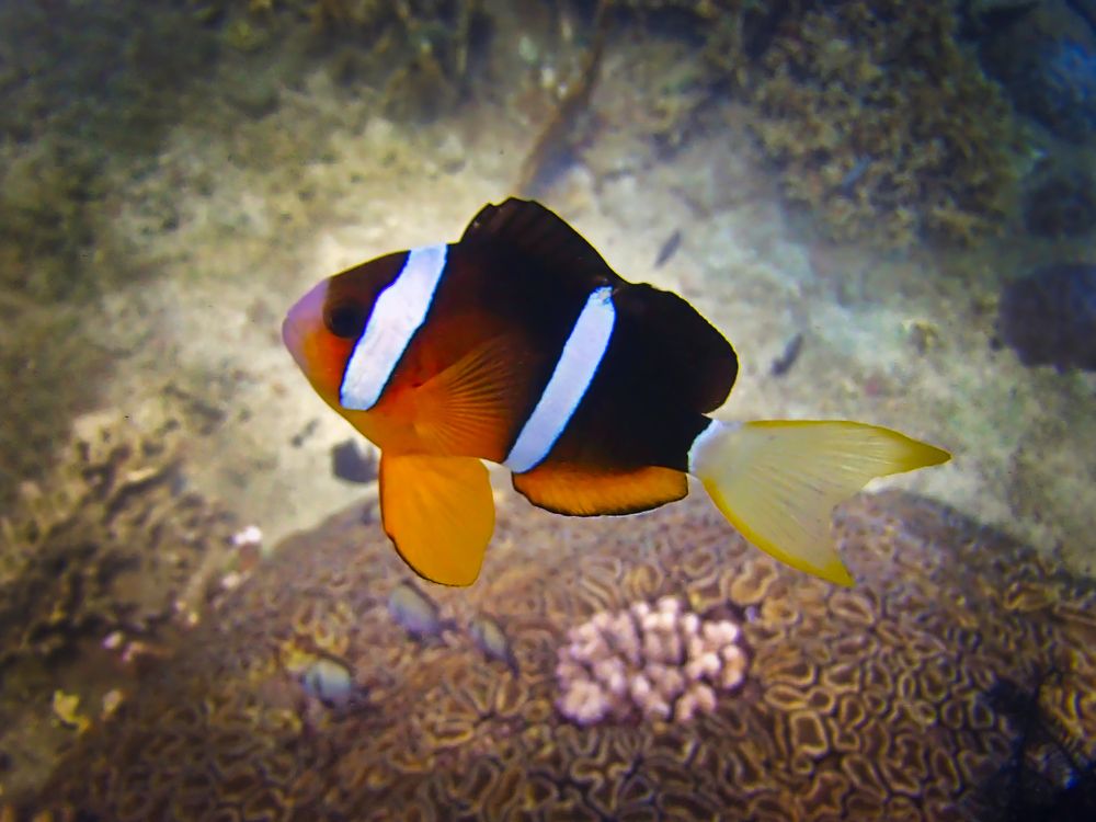 Photograph by Анвар Сейфуллин