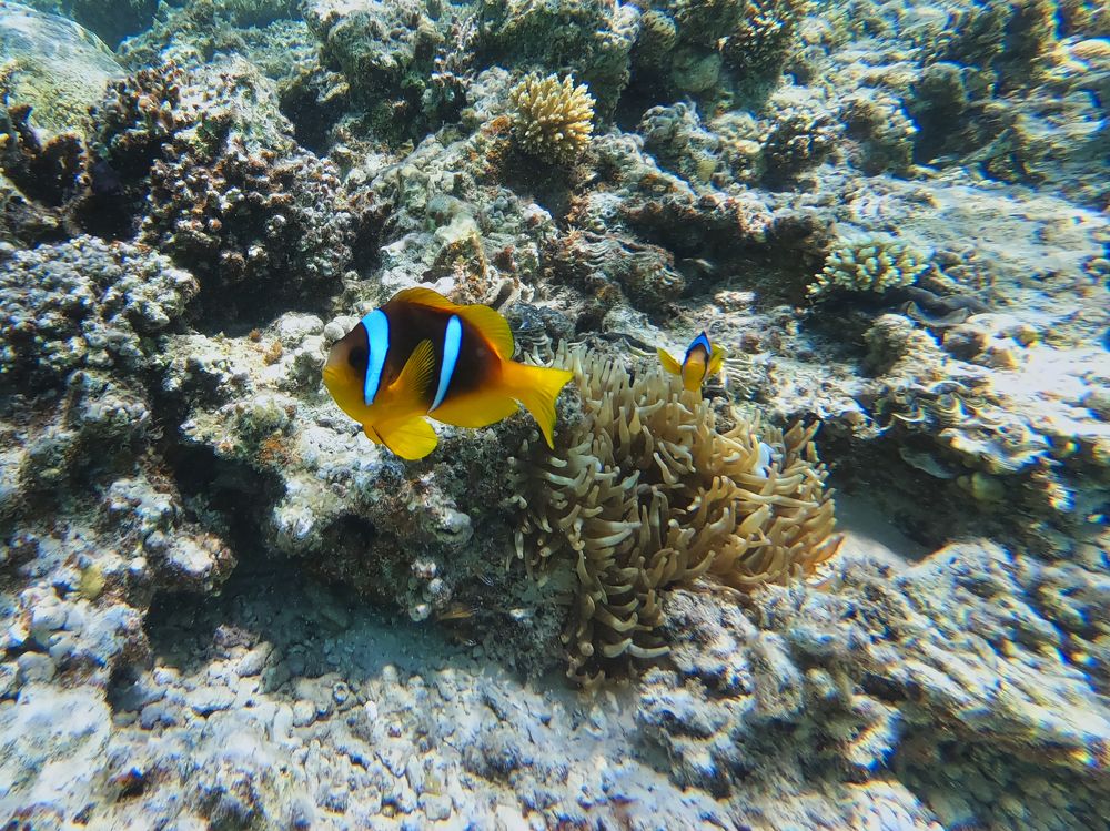 Photograph by Анвар Сейфуллин