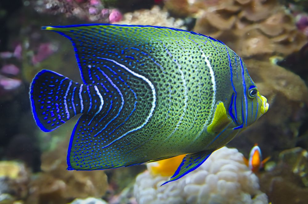 Photograph by Анвар Сейфуллин