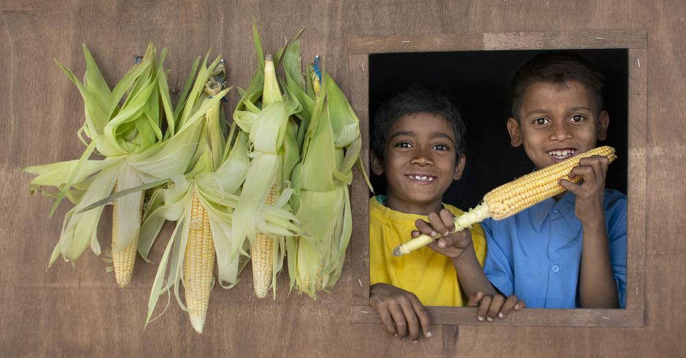 Фотография автора Nilanjan Saha