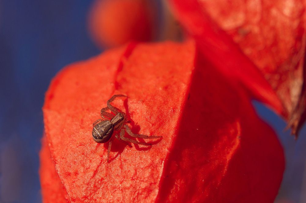 Photograph by Дмитрий Ткаченко