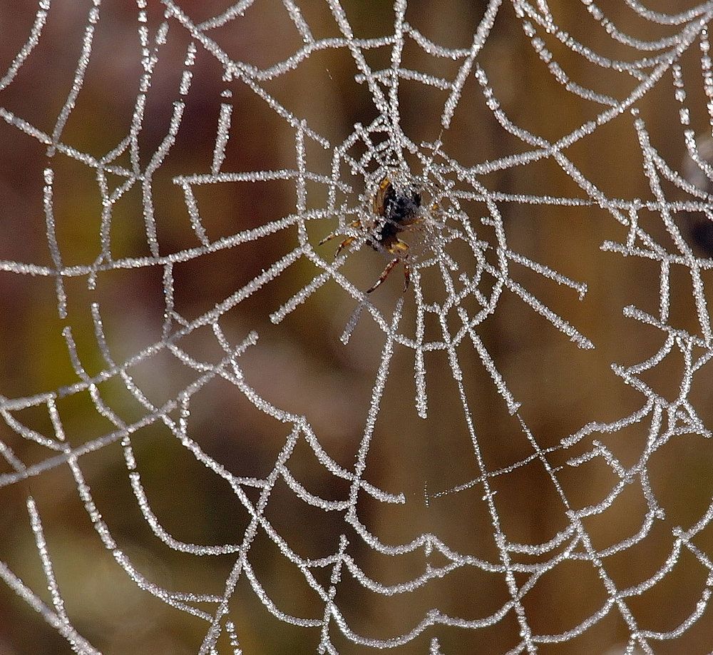 Photograph by Дмитрий Ткаченко