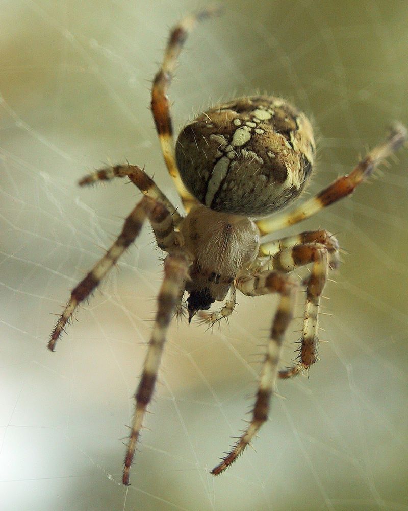 Photograph by Дмитрий Ткаченко