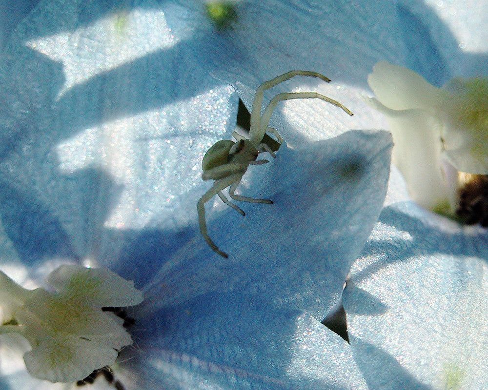 Photograph by Дмитрий Ткаченко