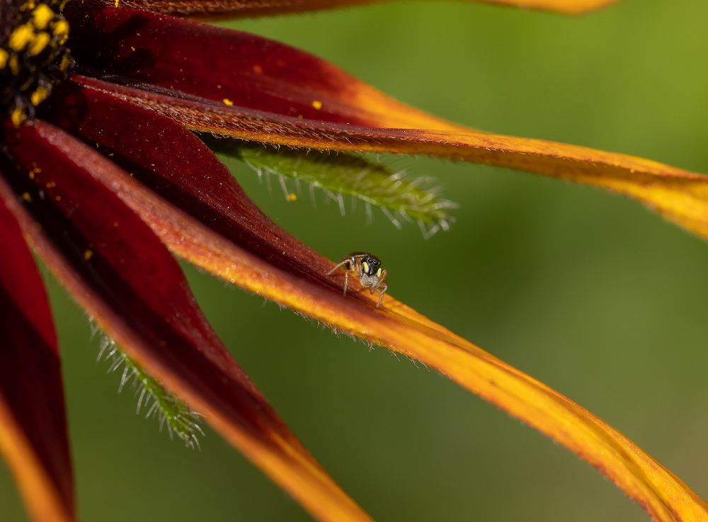 Фотография автора Сергей