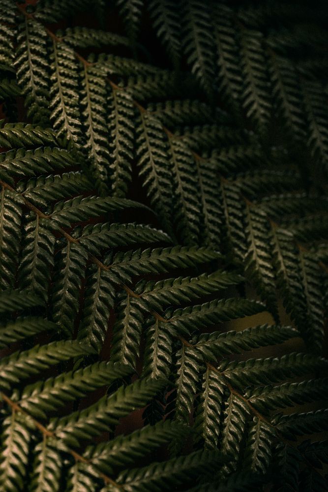 Photograph by Anna Vlasova