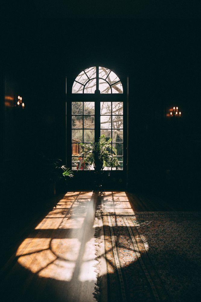 Photograph by Anna Vlasova