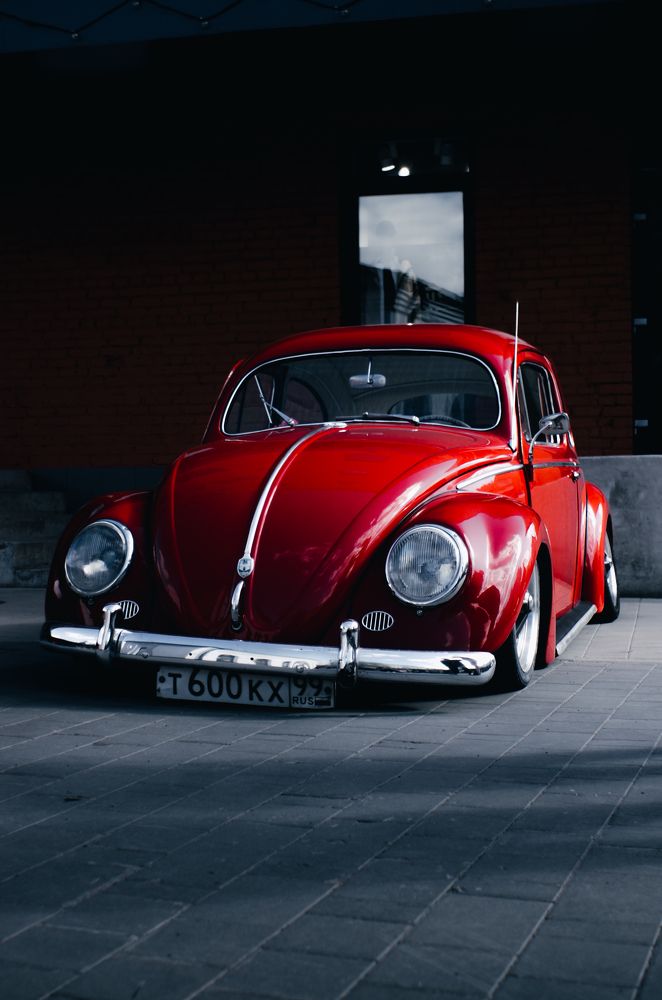 Photograph by Иван Петушков