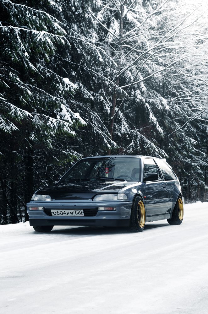 Photograph by Иван Петушков