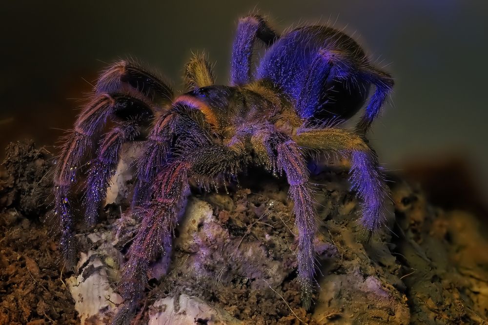 Photograph by Савчук Анатолий