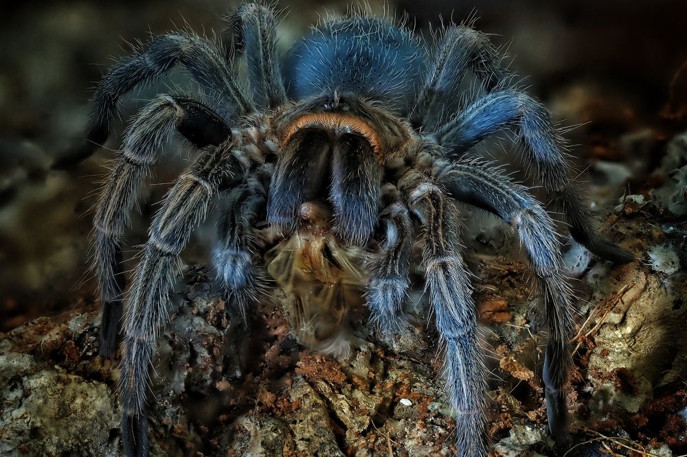 Photograph by Савчук Анатолий