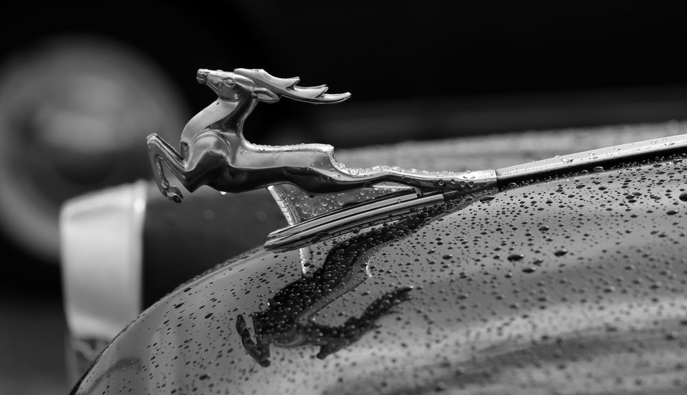 Photograph by Унку Юрий