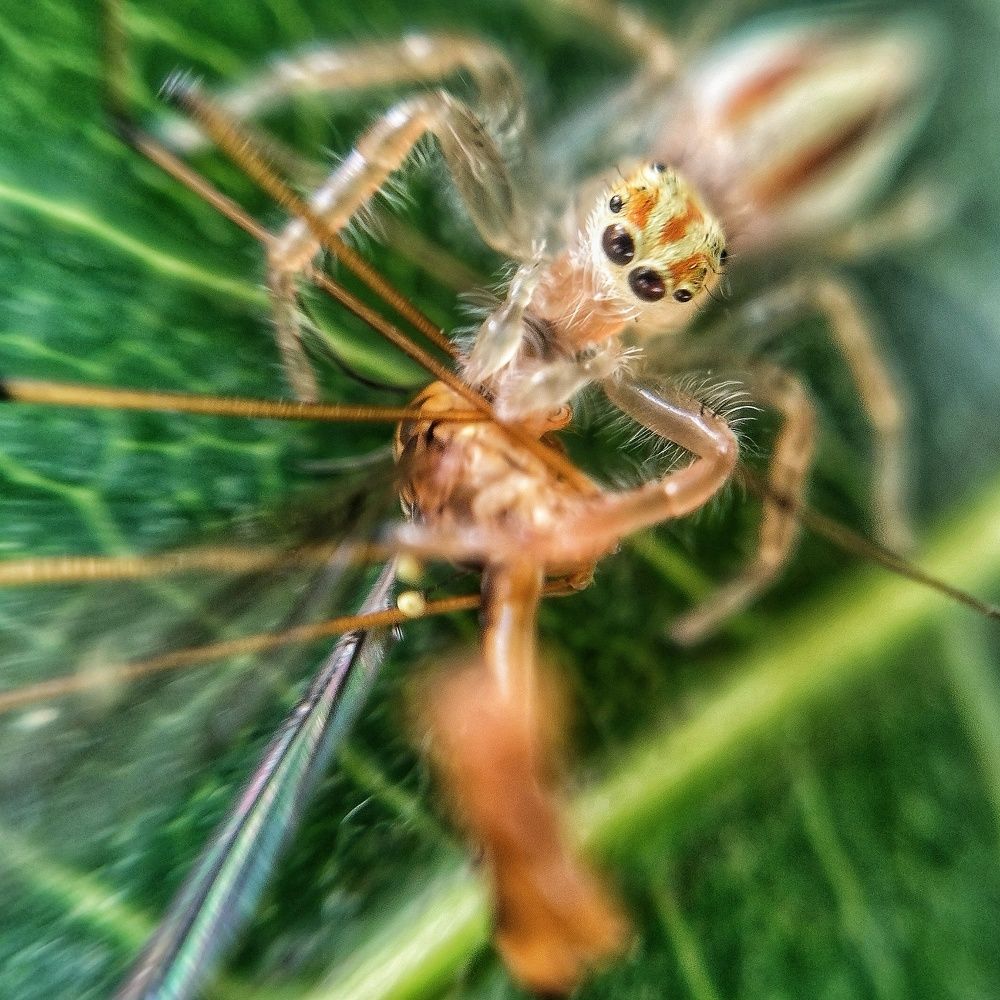 Photograph by Pankaj Singh