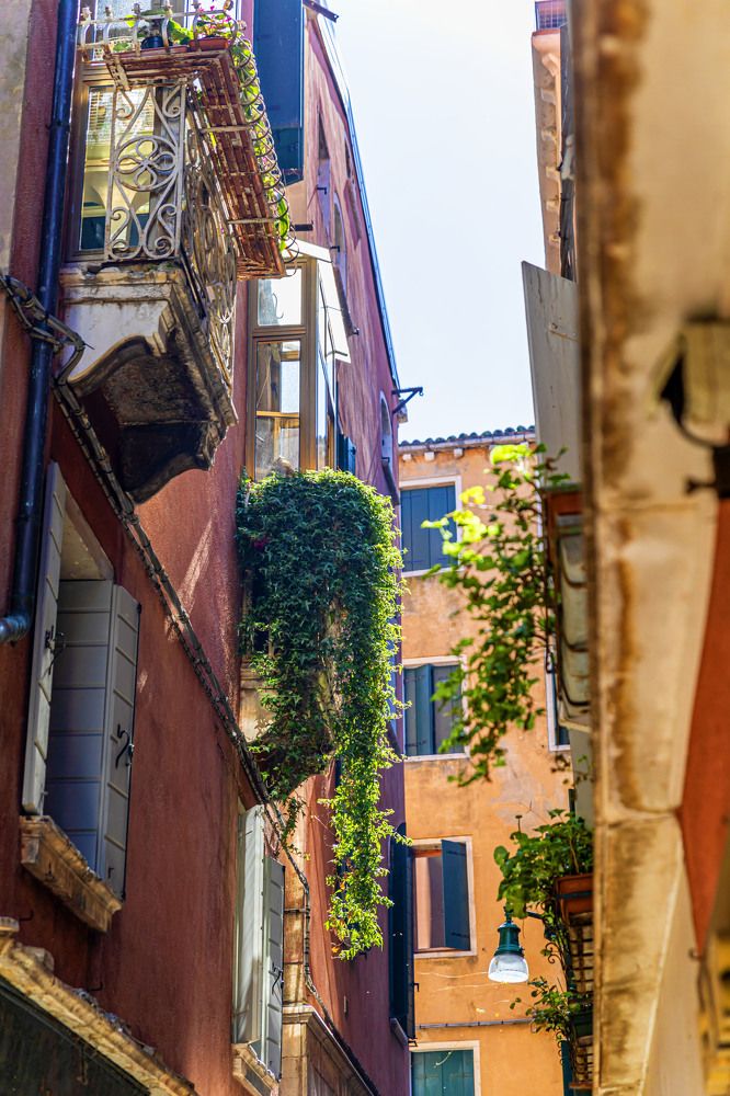 Немного зелени