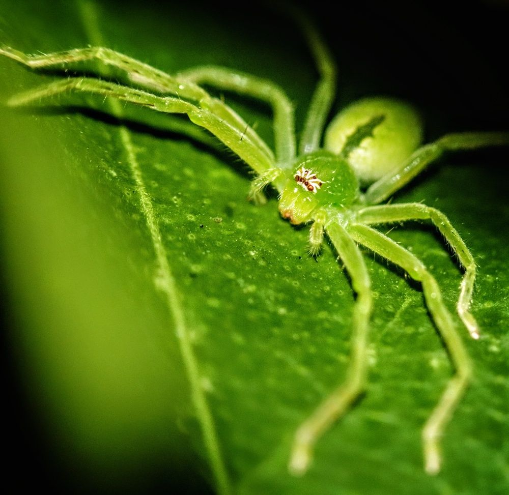 Photograph by Shuvodeep Ghosh