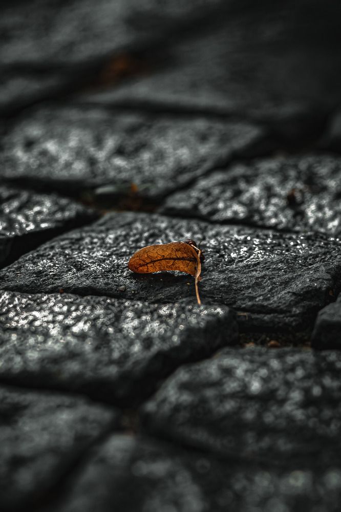 Photograph by Денис Королёв