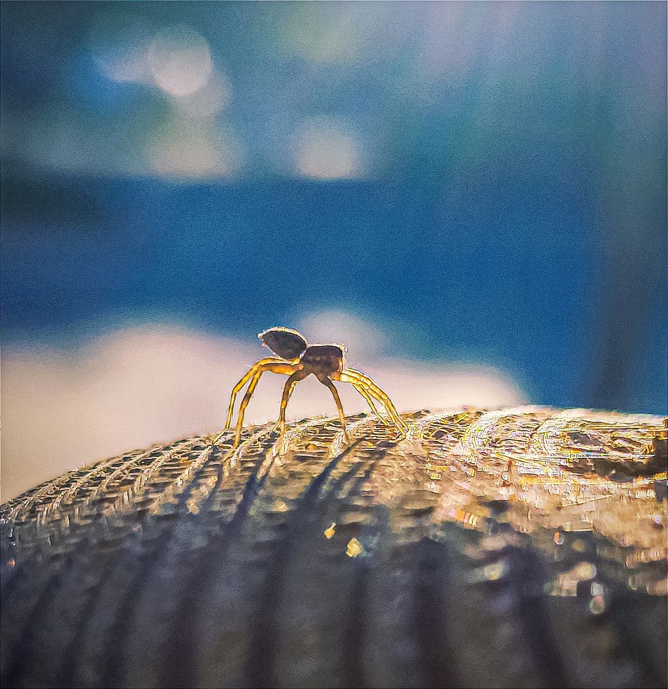 Photograph by ASHRAF FATHY BAKRY