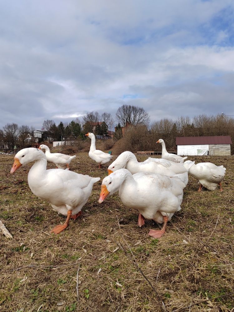 Фотография автора Татьяна Егорова