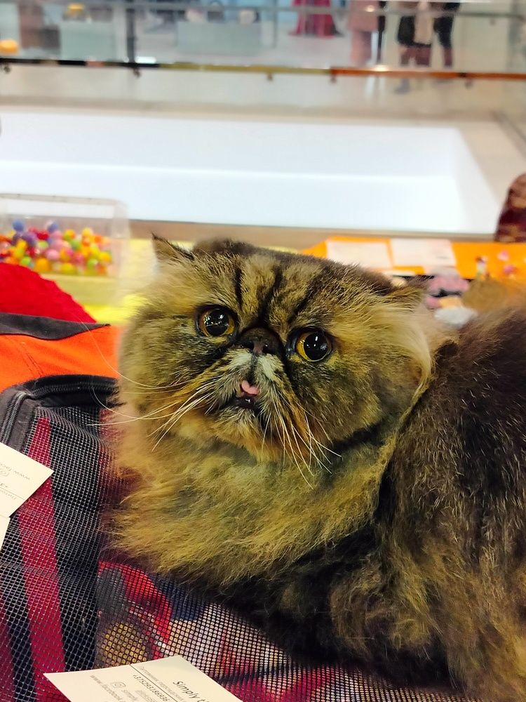 Фотография автора Наталья Драгун