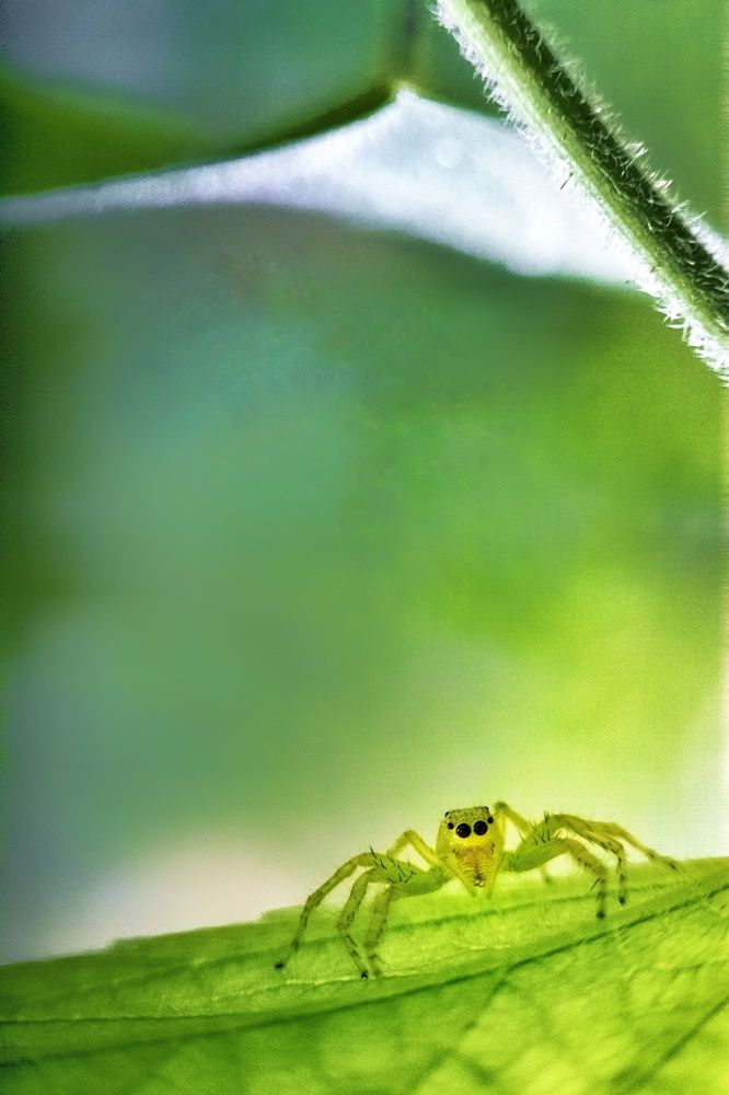 Photograph by Shuvodeep Ghosh