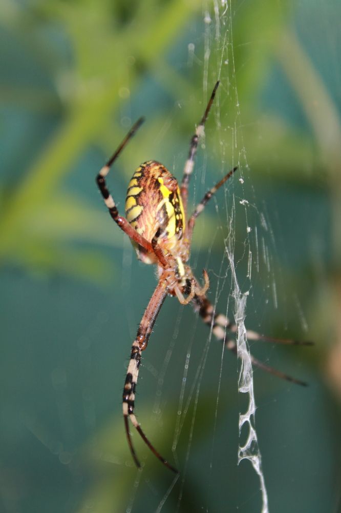 Photograph by Татьяна Слободчикова
