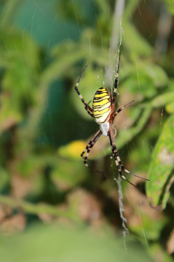 Photograph by Татьяна Слободчикова