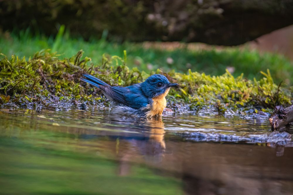 Photograph by Neelimaa Ripote