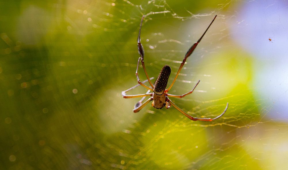 Photograph by Ekaterina Narozhnova