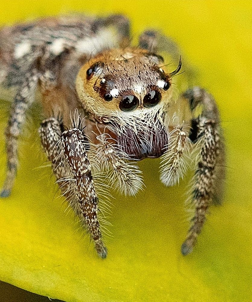 Photograph by Deepak MT