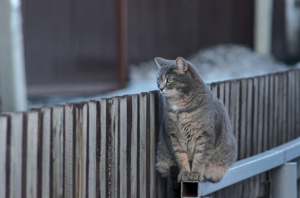 Photograph by Владимир Янчук