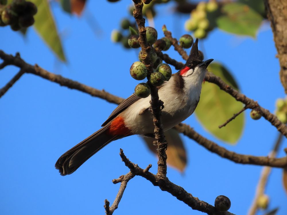 Photograph by Umar Pardhi