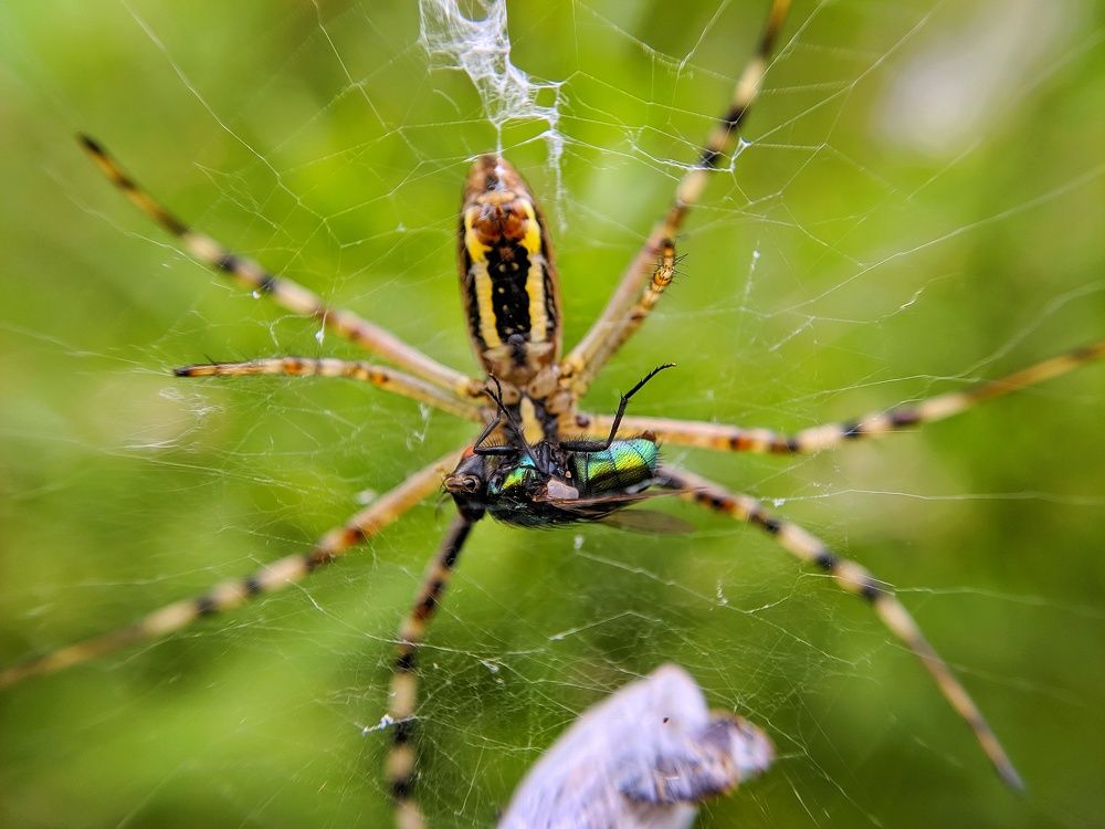 Photograph by Дмитрий Леонтенко