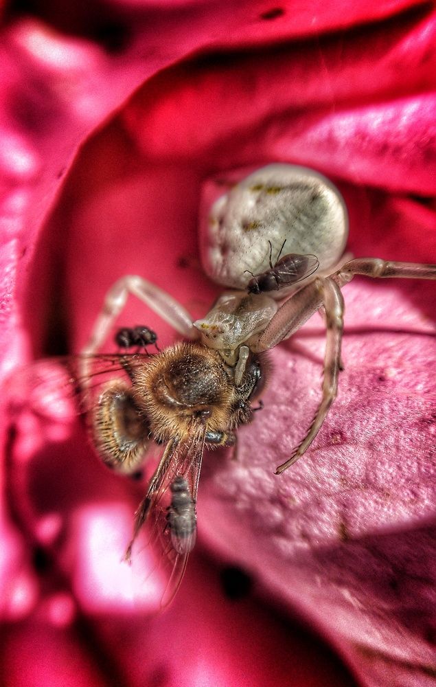 Photograph by Дмитрий Леонтенко