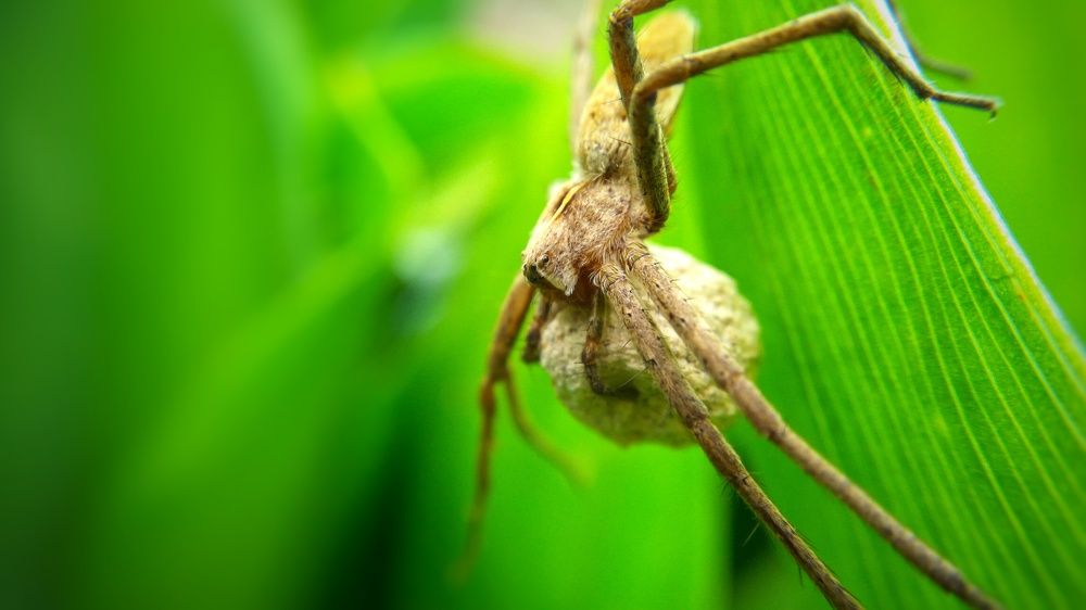 Photograph by Дмитрий Леонтенко