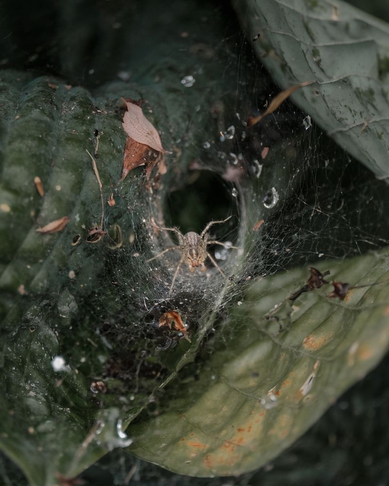 Photograph by Greg Noakes