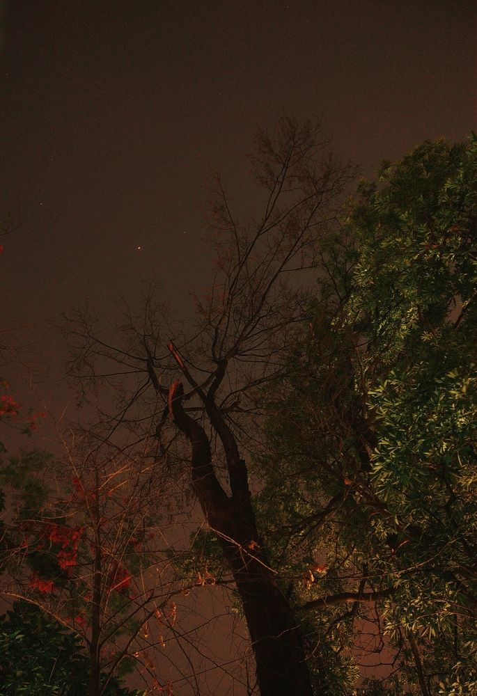 Photo #10553372