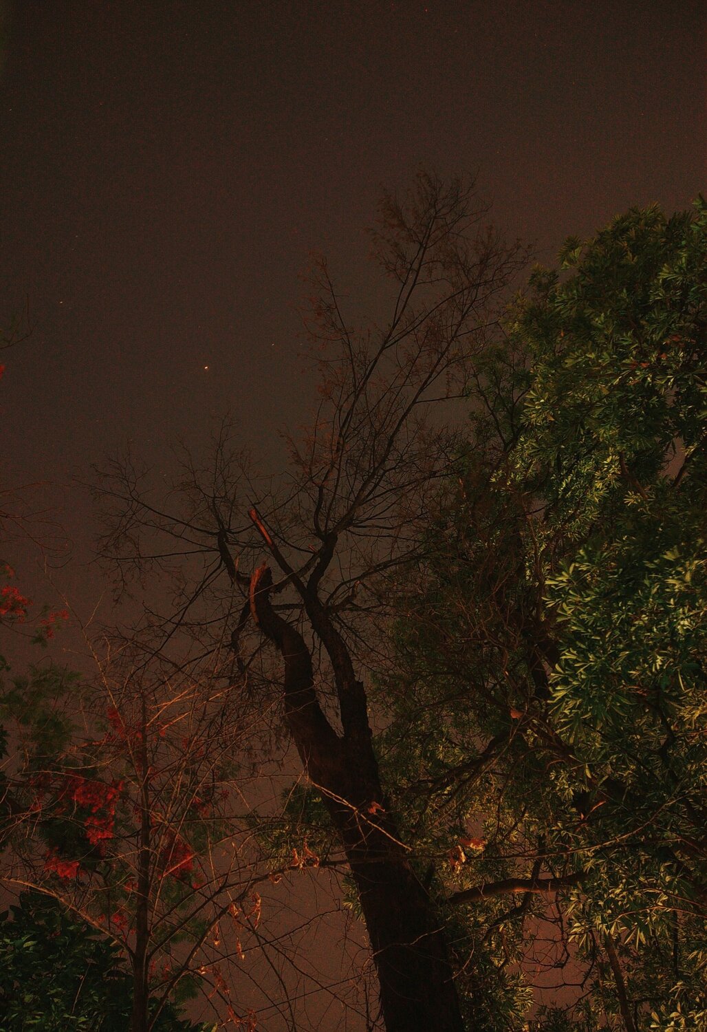 Photo #10553372