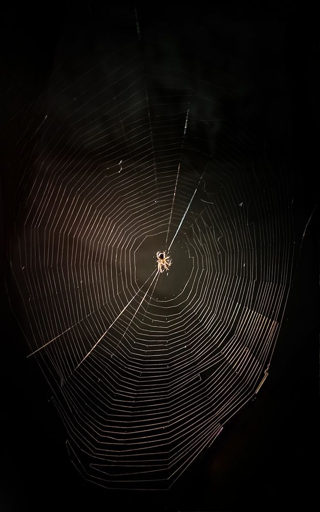 Photograph by Irene Chattopadhyay