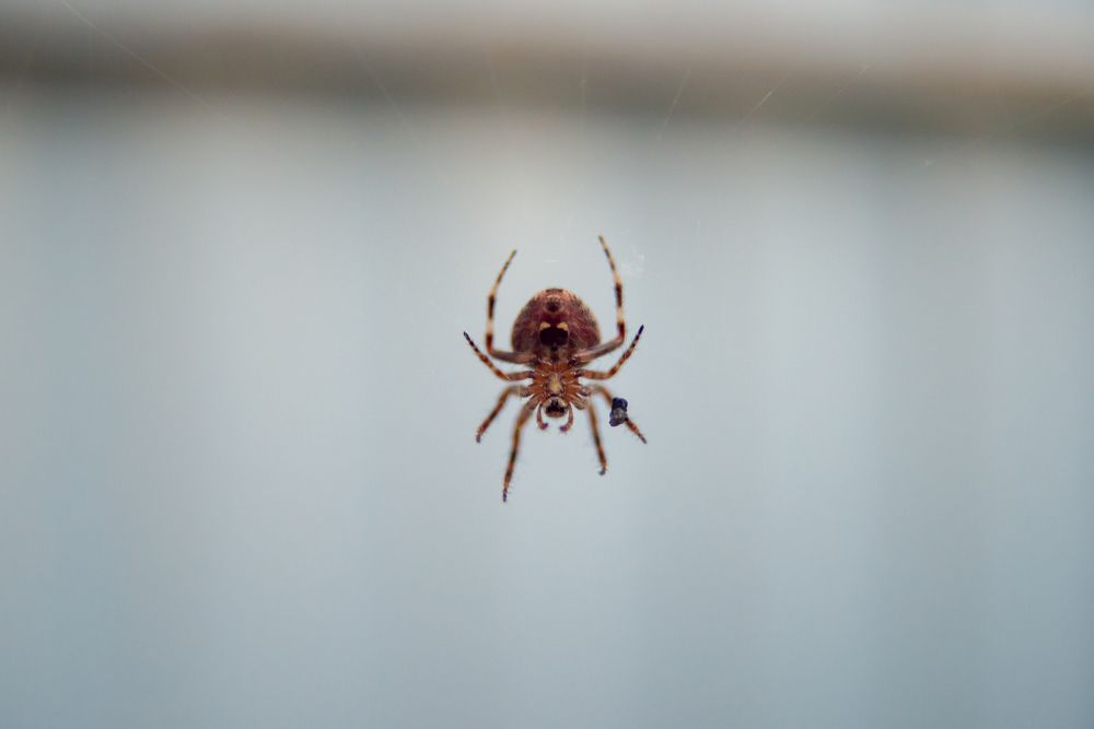 Photograph by Николай Грекалов