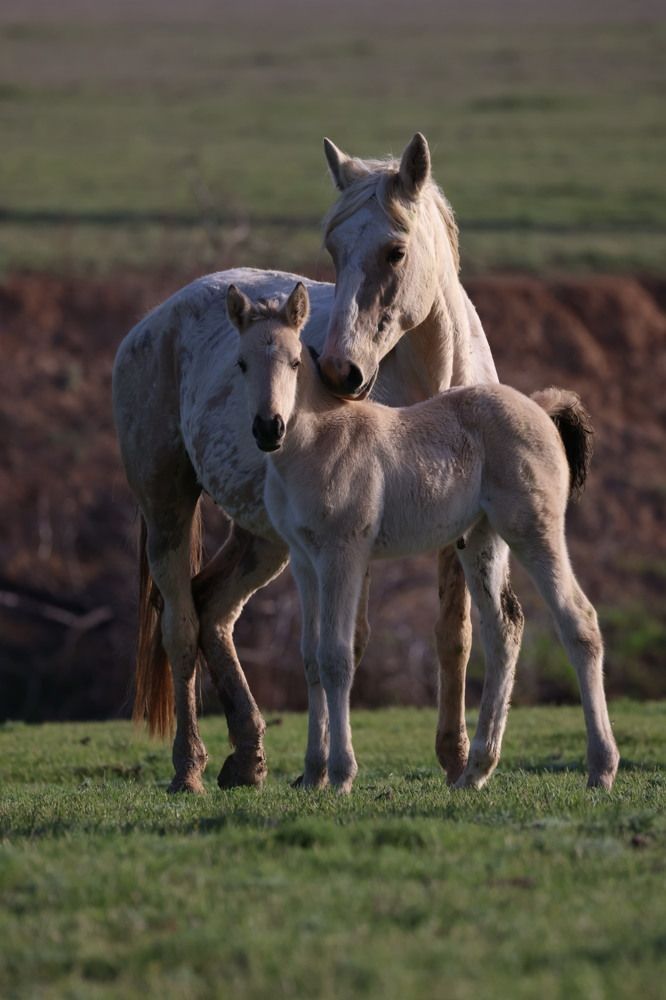 Photograph by Ольга Одаренко