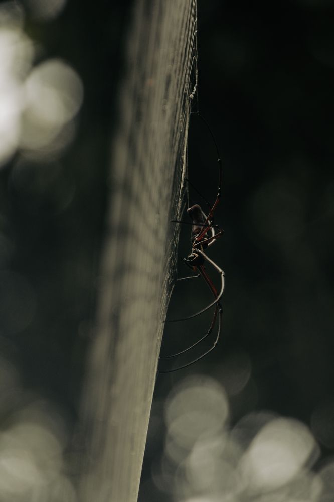 Photograph by Татьяна Мохова