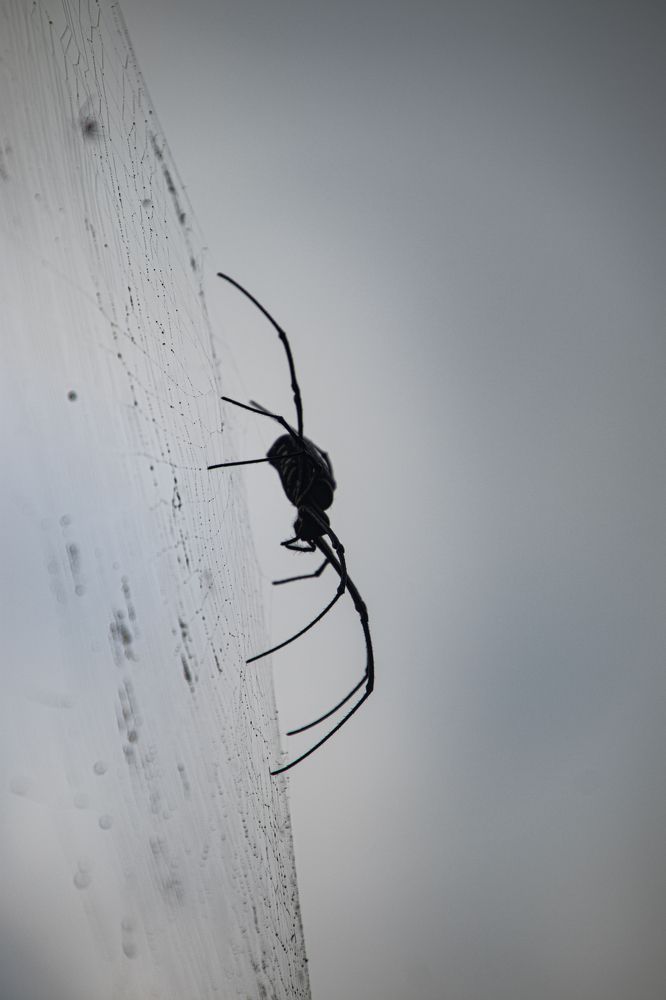 Photograph by Татьяна Мохова