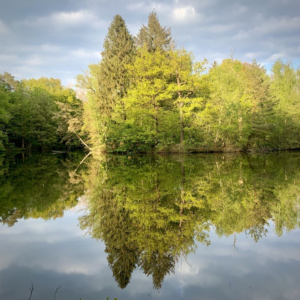 Photograph by Анастасия Мангольд
